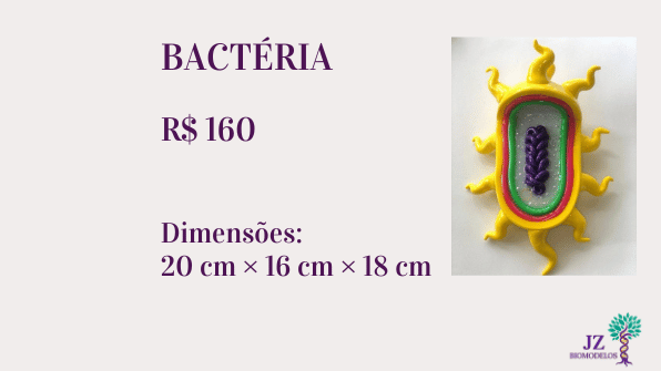 Bactéria
