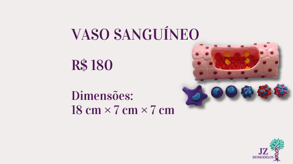 Vaso sanguíneo
