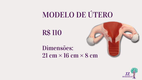 Modelo de útero