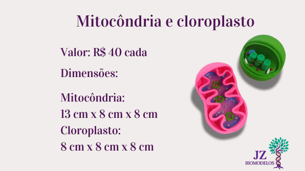 Cloroplasto