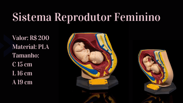 Sistema reprodutor feminino