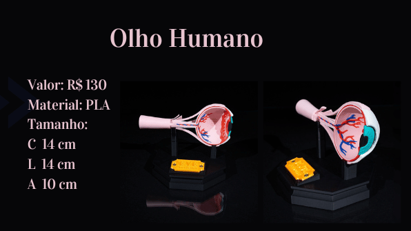 Olho humano