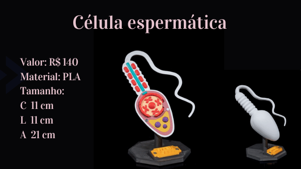 Célula espermática