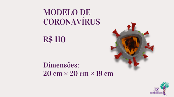 Modelo de coronavírus
